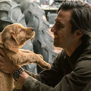 Foto Milo Ventimiglia