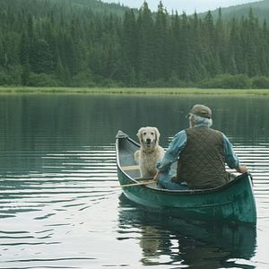 Foto Y llovieron pájaros