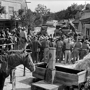 Foto La pelirroja de Wyoming
