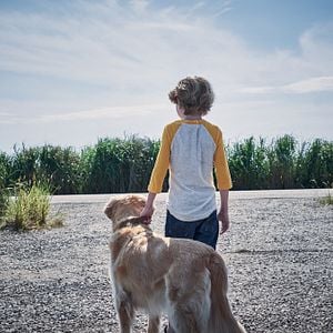 Foto En la hierba alta