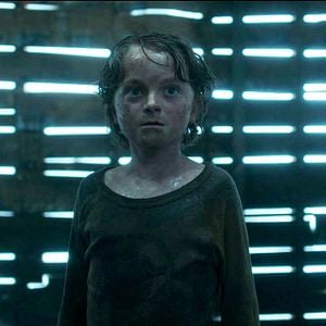 Foto En la hierba alta