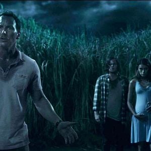 Foto En la hierba alta