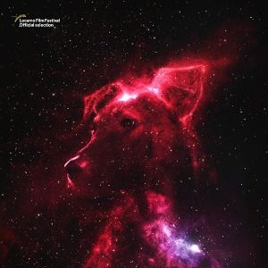 Foto Space Dogs