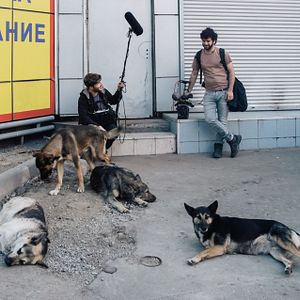 Foto Space Dogs