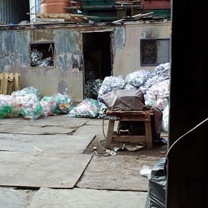 Foto El cuarto reino. El reino de los plásticos