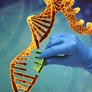 Foto Selección Antinatural