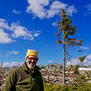 Foto La vida secreta de los árboles