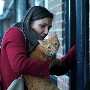 Foto Pequeños Milagros en Peckham St.