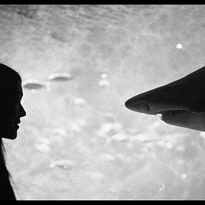 Foto Letters to Paul Morrissey