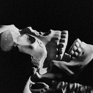 Foto Letters to Paul Morrissey