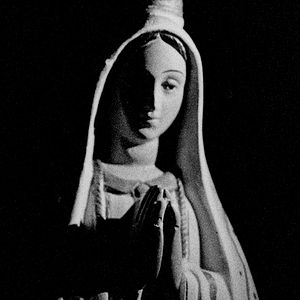 Foto Letters to Paul Morrissey