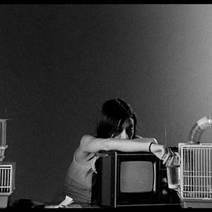 Foto Letters to Paul Morrissey