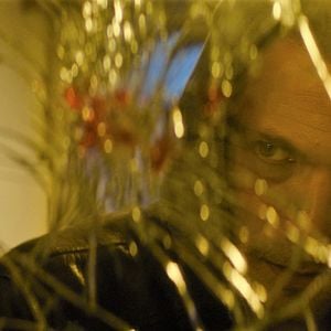 Foto Spider in the Web