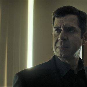 Foto Spider in the Web