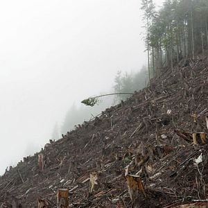 Foto Anthropocene: The Human Epoch