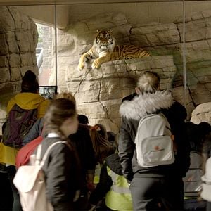 Foto Anthropocene: The Human Epoch