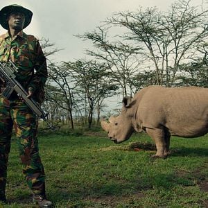 Foto Anthropocene: The Human Epoch