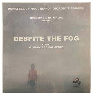 Foto Nonostante la Nebbia