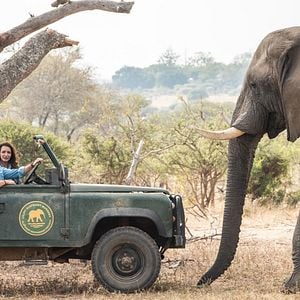 Foto Safari por Navidad