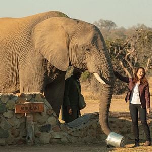 Foto Safari por Navidad