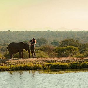 Foto Safari por Navidad
