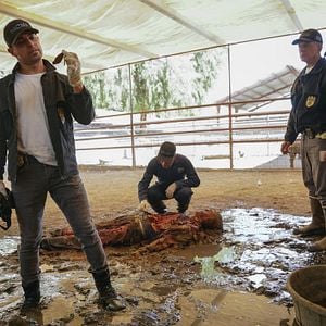 Foto NAVY: Investigación criminal