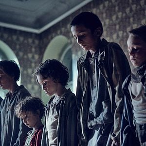 Foto Perros de presa