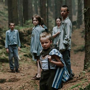 Foto Perros de presa