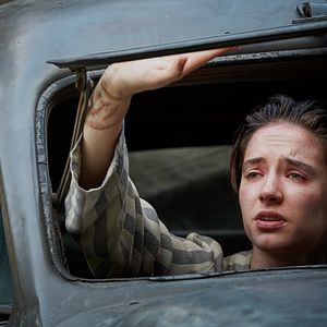 Foto Perros de presa