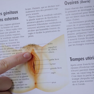 Foto Mi nombre es Clítoris