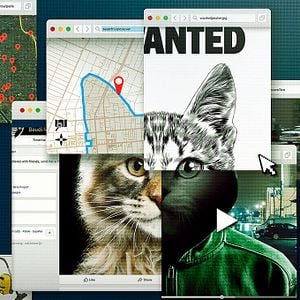 Foto A los gatos ni tocarlos: Un asesino en Internet