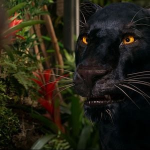 Foto El escritor fantasma