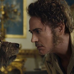 Foto Robert Downey Jr.