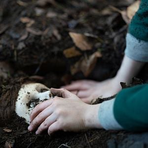 Foto The Boy. La maldición de Brahms