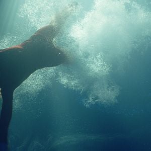 Foto Contagio en alta mar