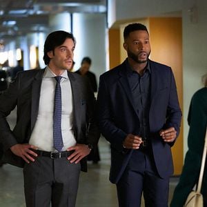 Foto Dinastía (2017)