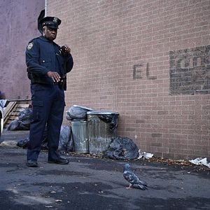 Foto Brooklyn Nine-Nine