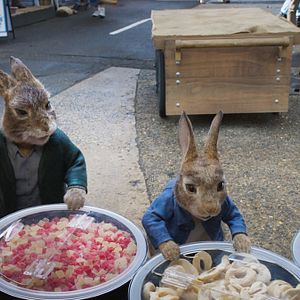 Foto Peter Rabbit 2: A la fuga