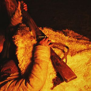 Foto El huevo del dinosaurio