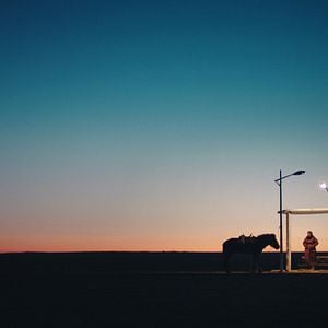 Foto El huevo del dinosaurio