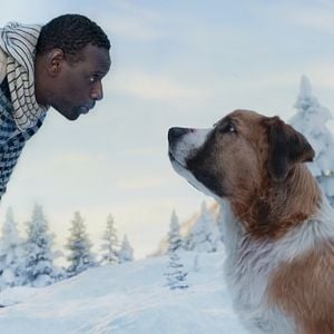 Foto La llamada de lo salvaje