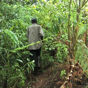 Foto Anunciaron tormenta