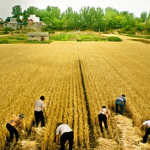 Foto So Close My Land