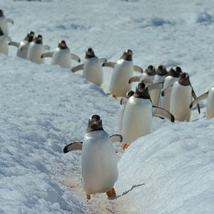 Foto Nuestro planeta