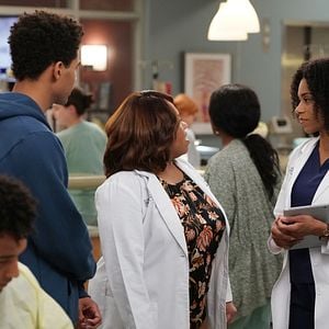 Foto Anatomía de Grey