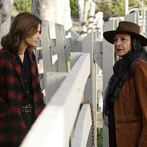 Foto Tantoo Cardinal