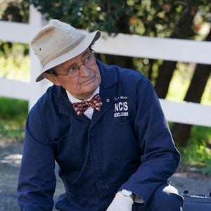 Foto NAVY: Investigación criminal