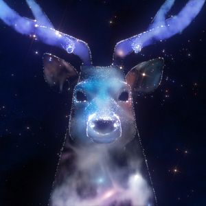 Foto Circuito de cortos