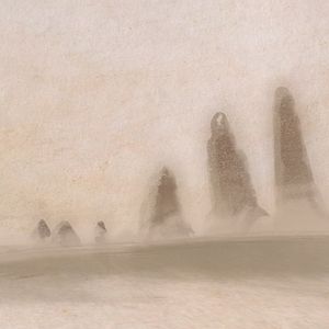 Foto Circuito de cortos