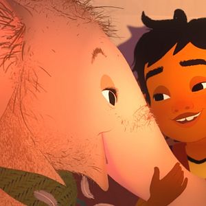 Foto Circuito de cortos